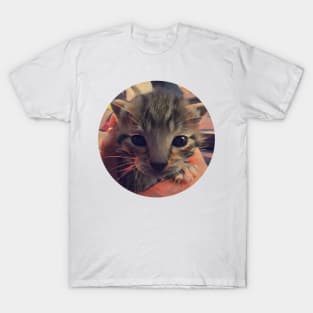 Anxious floppy cat T-Shirt